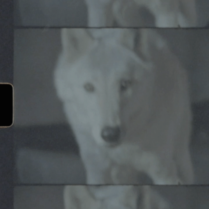 FIREAT-18°C_gif_09