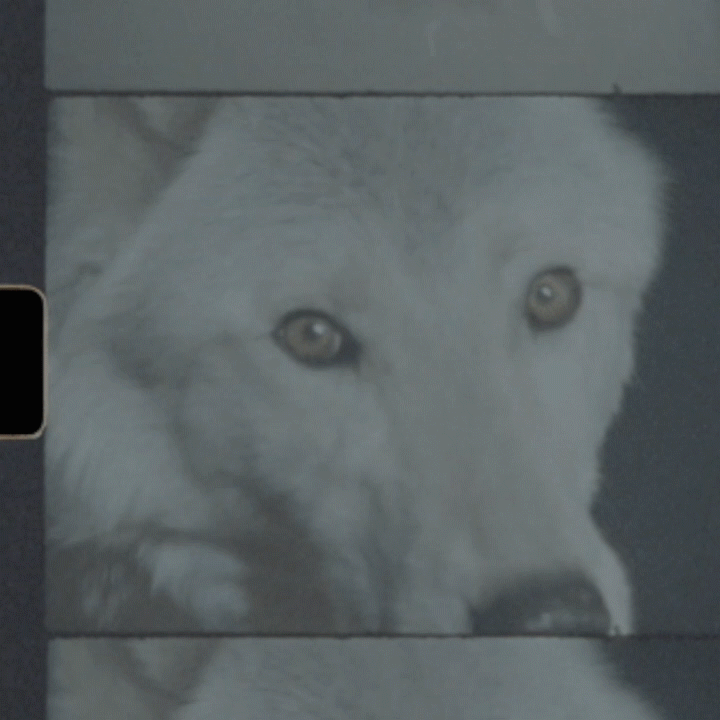 FIREAT-18°C_gif_10